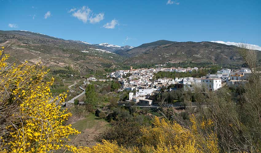 Andalacia